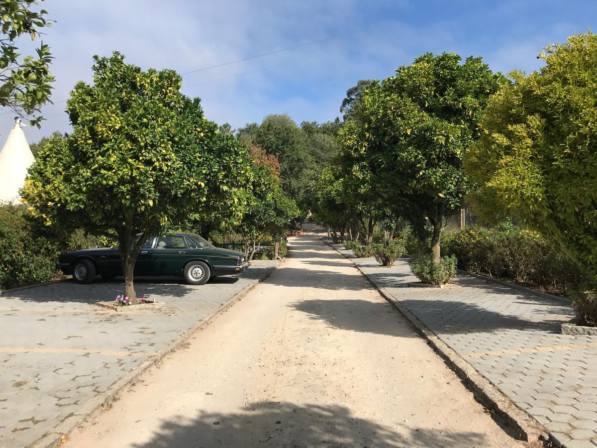 Quinta Da Fontoura Guest House Alquerubim ภายนอก รูปภาพ